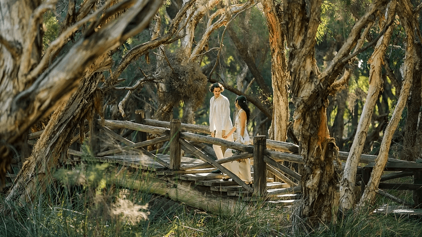 Two couple at the forest